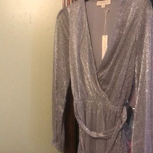 Silver brand new glitter dress.